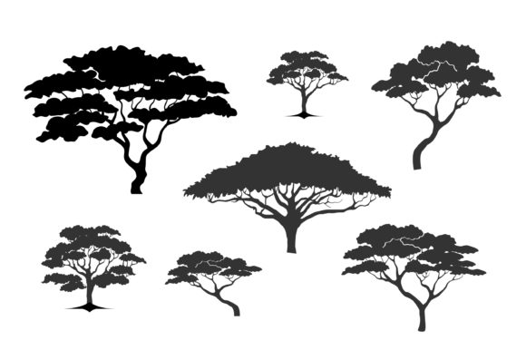 Collection Acacia Tree Icon Silhouette Graphics & Icons