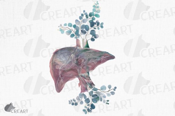 Pink Blush Anatomical Liver Eucalyptus Graphics