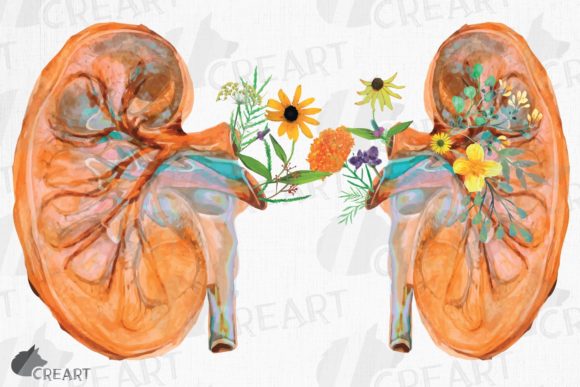 Prairie Flowers Anatomical Kidney Design