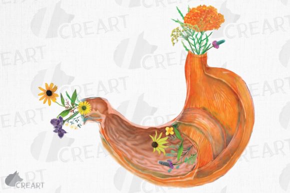 Prairie Flowers Anatomical Stomach Decor: Graphics for Print Templates