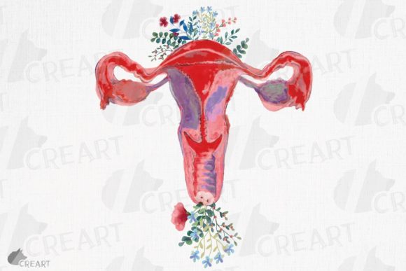 Watercolor Floral Uterus Health Graphic: Graphics for Print Templates