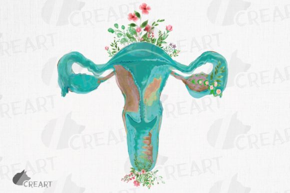 Watercolour Floral Human Uterus Clipart: Graphics for Print Templates